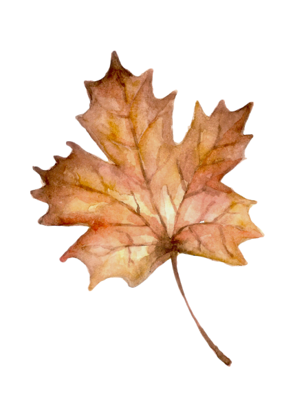 Návrh bez názvu Návrh bez názvu